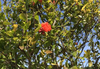 &copy; Stadt Ludwigslust