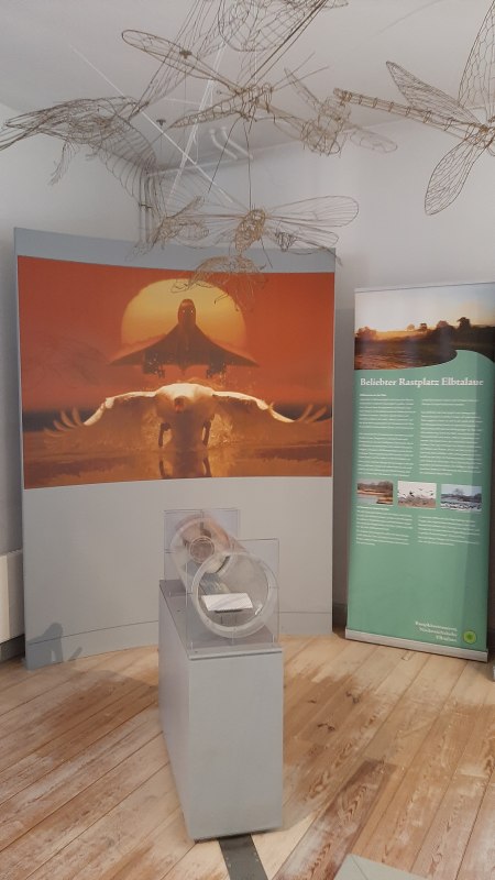 interactive exhibition // &copy; Biosphaerium Elbtalaue