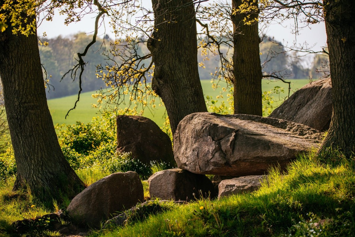© Binzer Bucht Tourismus © Binzer Bucht Tourismus