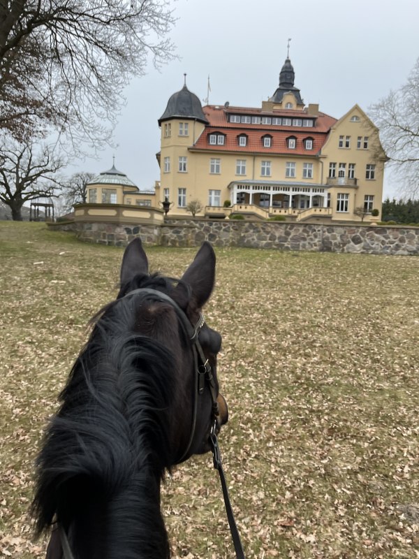 Dag van de amberruiters in Wendorf, &copy; de