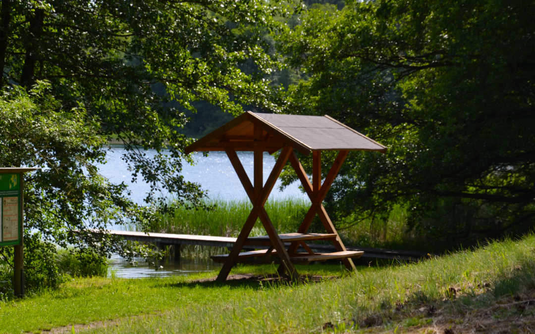 Waschsee_4, © Martin Möller