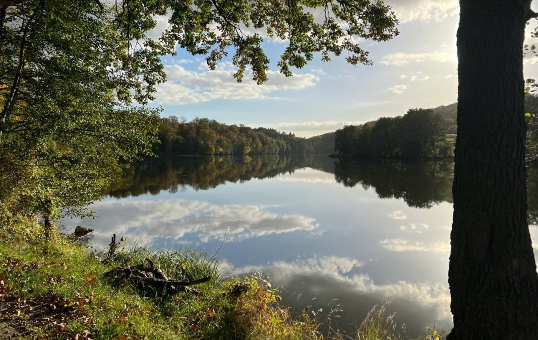 Trasa epoki lodowcowej w pobliżu Grünowa, © Heiko Djalek