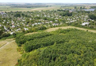Klimawald Neubrandenburg-Nettelkuhl // &copy; Landesforst MV