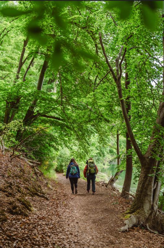Wędr&oacute;wka, &copy; mvt-g&auml;nsicke