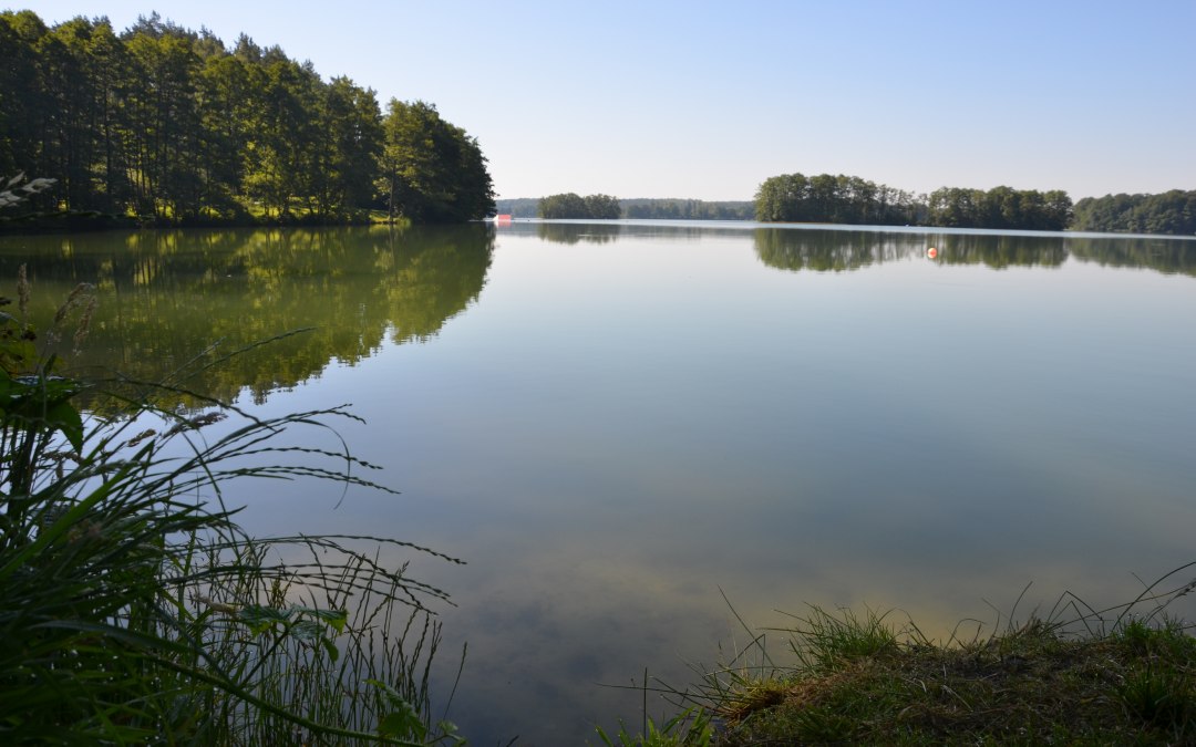 &copy; Kurverwaltung Feldberger Seenlandschaft