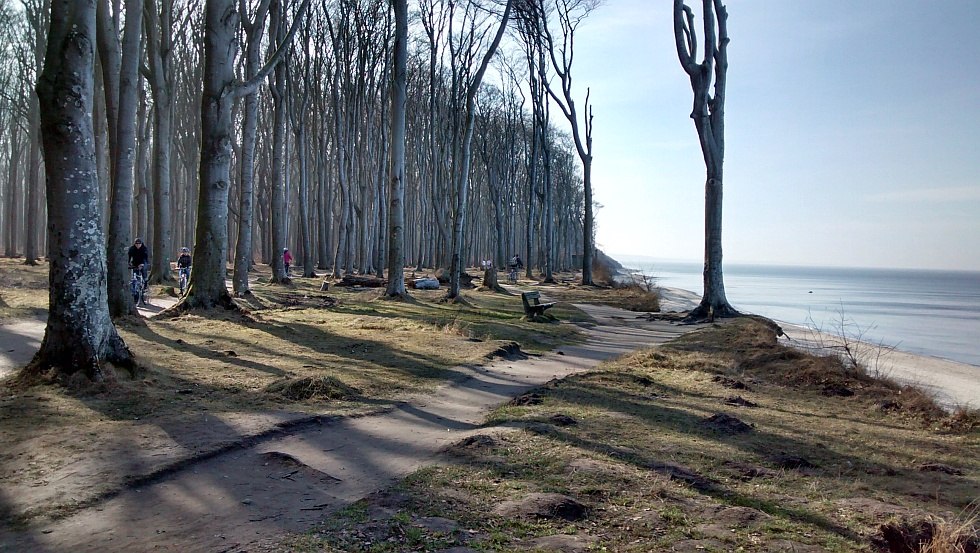 A cycling and hiking trail leads along the cliff through the "Ghost Forest"., © Fischer/TMV A cycling and hiking trail leads along the cliff through the "Ghost Forest"., © Fischer/TMV