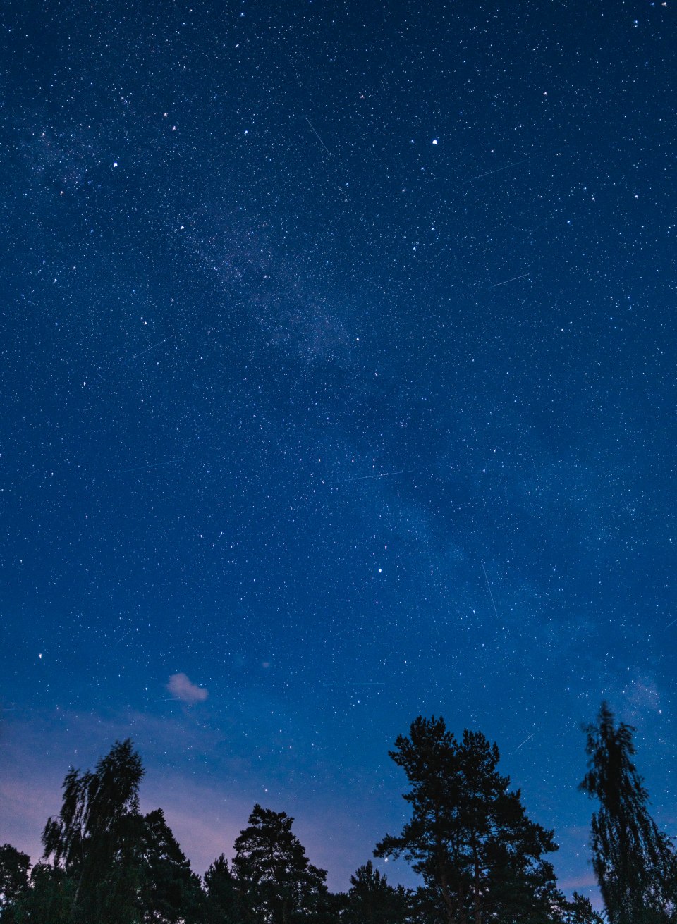 A starry night sky above dark treetops, with many visible stars and faint trails across the sky in the MV Star Park.