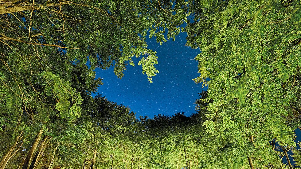 Muzyka klasyczna w ogrodach spa - muzyka z widokiem, © Kurverwaltung Sellin Muzyka klasyczna w ogrodach spa - muzyka z widokiem, © Kurverwaltung Sellin