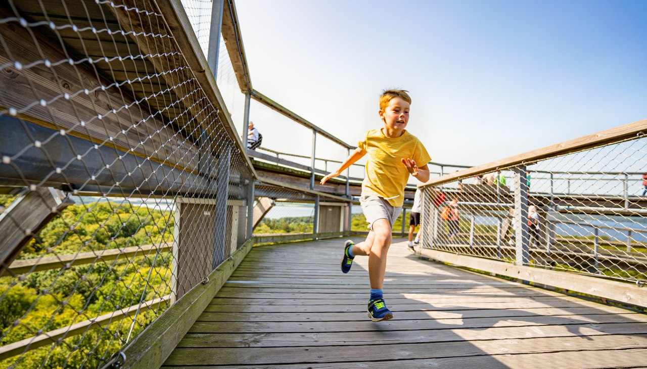 Kinderen op het uitkijkplatform van de boomtopwandeling in het Rügen Natural Heritage Centre, © Naturerbezentrum_Ruegen