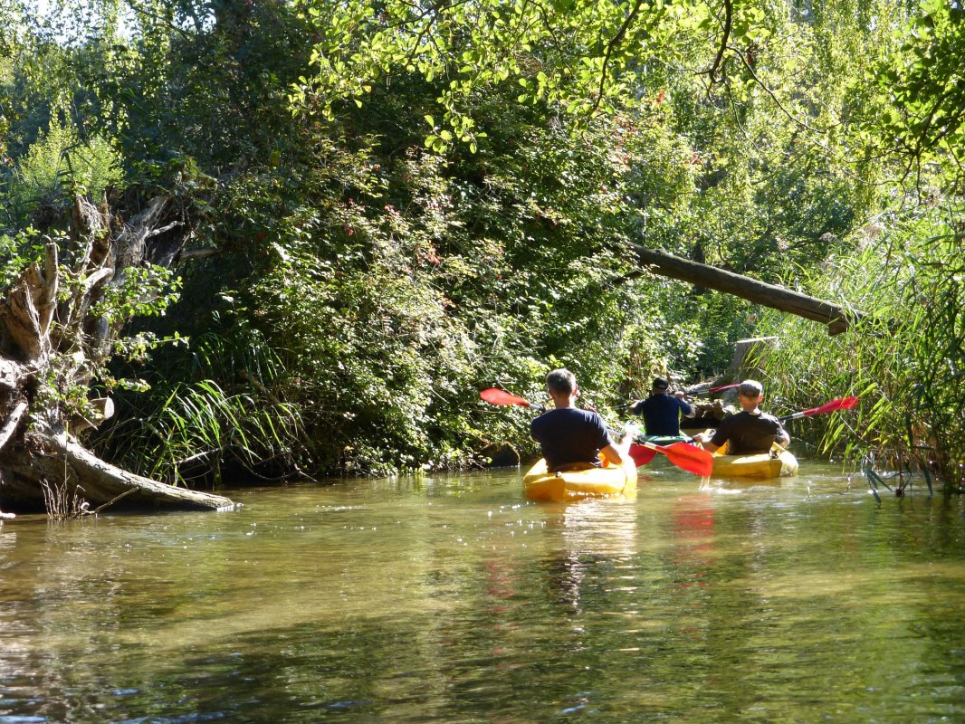Paddling on the Mildenitz // © Kanucamp Borkow Paddling on the Mildenitz // © Kanucamp Borkow