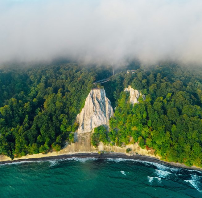 Eine beeindruckende Steilküste mit weißen Kreidefelsen, dicht bewaldeten Hängen und dem Meer im Vordergrund. // © Nationalpark-Zentrum KÖNIGSSTUHL / Dan Petermann Eine beeindruckende Steilküste mit weißen Kreidefelsen, dicht bewaldeten Hängen und dem Meer im Vordergrund. // © Nationalpark-Zentrum KÖNIGSSTUHL / Dan Petermann
