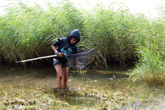 2025-08-01_MPA-Day_ABerger_09_klein, &copy; Biosph&auml;renreservat S&uuml;dost-R&uuml;gen