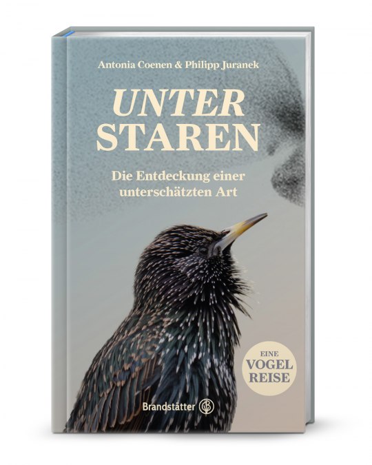 © Brandstätter Verlag, Antonia Coenen, Philipp Juranek