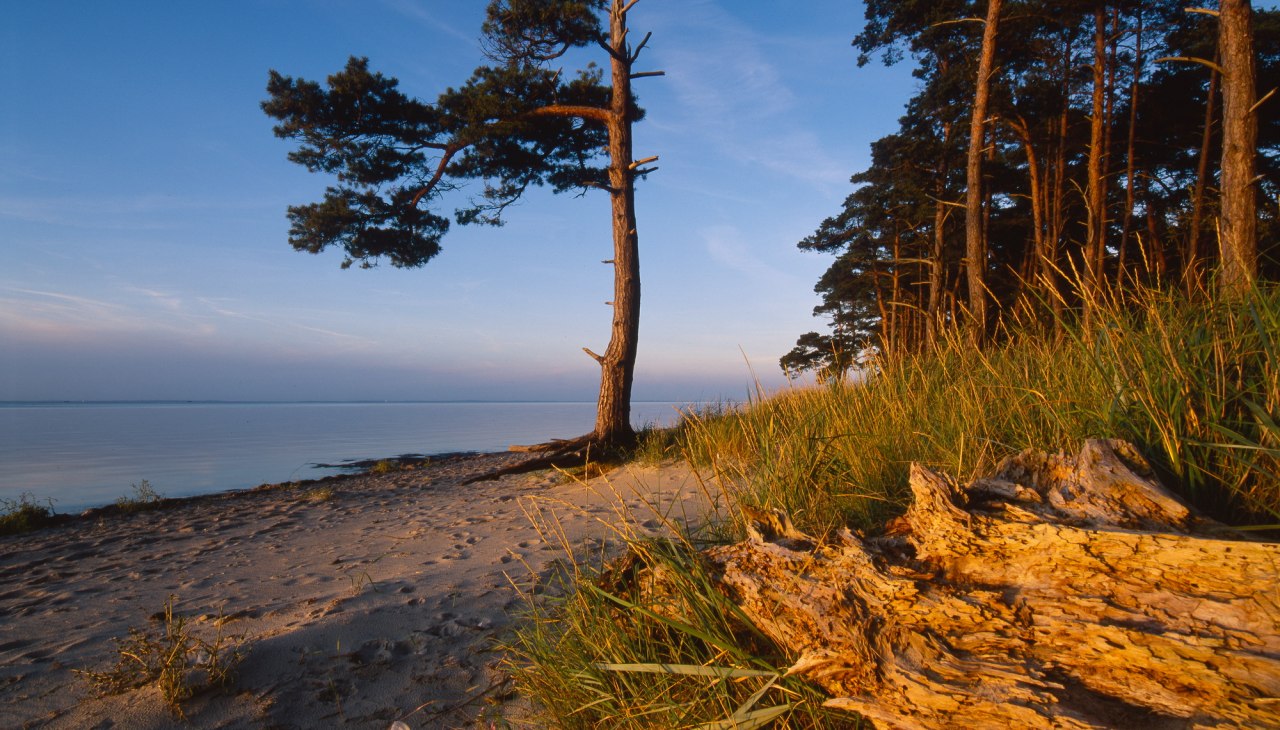 Ludwigsburg strand in de avond, © TMV.Thomas Grundner
