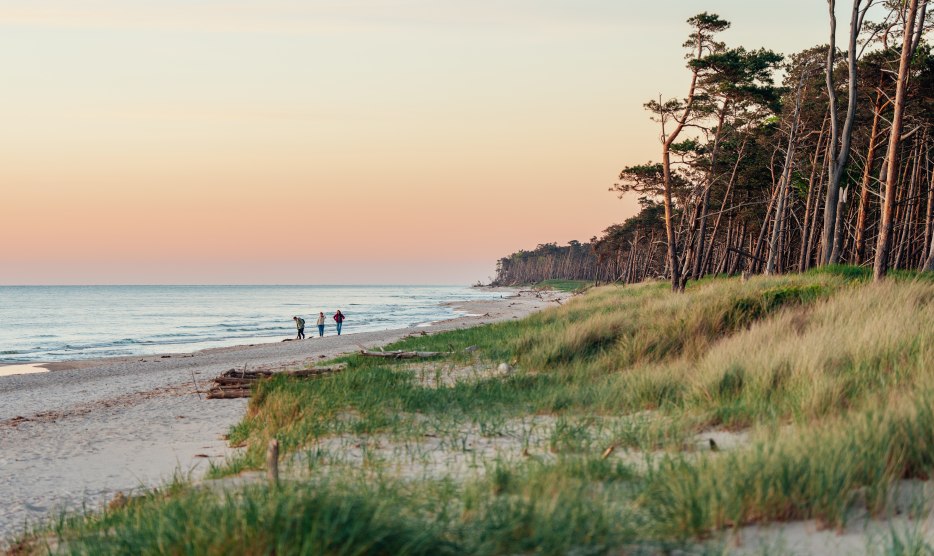 An idyllic walk on the western beach on the Darß: three people enjoy the sunset while the coast glows in warm colors and nature comes to rest. // © MV-T/Gänsicke An idyllic walk on the western beach on the Darß: three people enjoy the sunset while the coast glows in warm colors and nature comes to rest.
