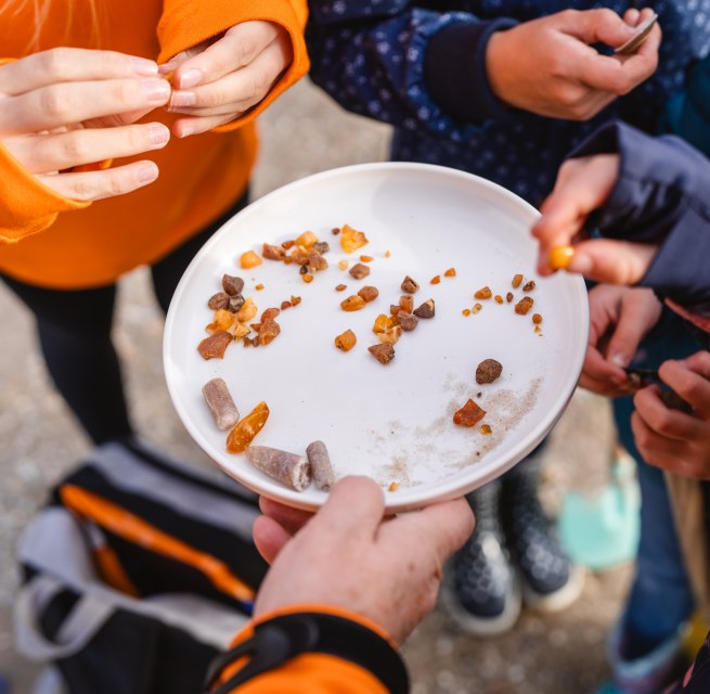 Children hold a bowl of freshly collected amber and sand during a beach excursion on the Baltic Sea.