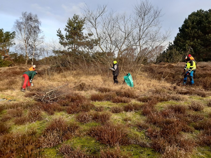 Participation days_KFuchs_1800, &copy; Nationalparkamt Vorpommern