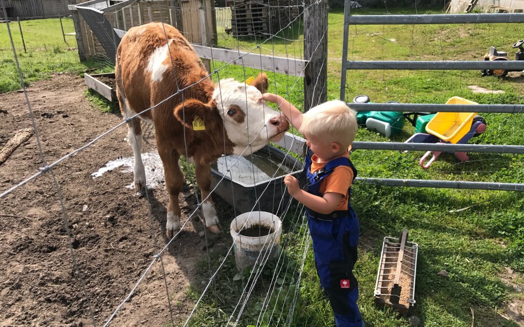The little visitors are allowed to visit me and my friends, marvel at them, pet them and of course also feed them, © © Hannas Ranch