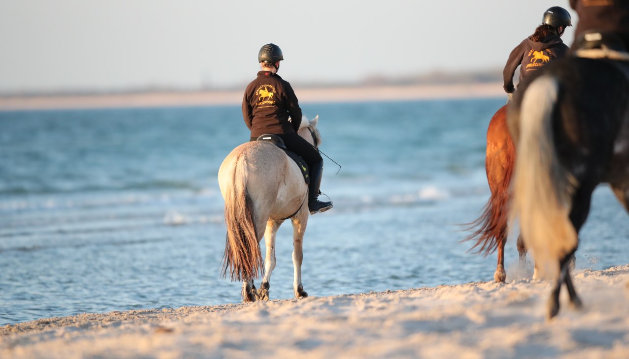 Jazda na plaży, © TMV/ACP Pantel