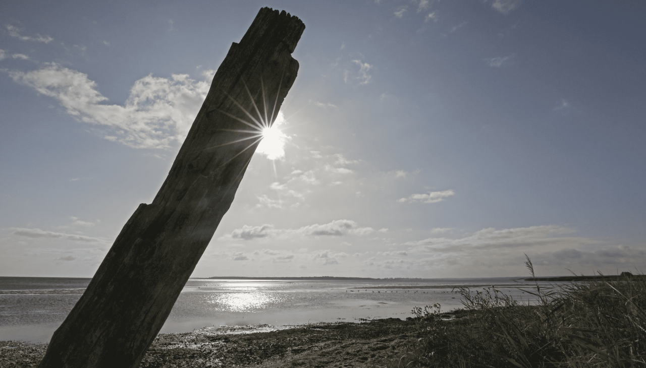 Naturalna plaża Wampen, © TMV/Gohlke