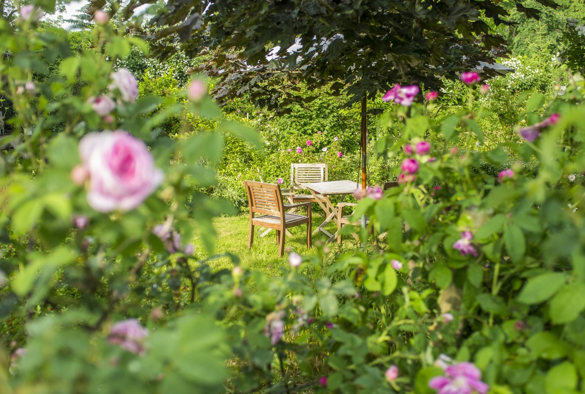 In the rose garden of the manor house Altbauhof // &copy; Gutshaus Altbauhof / Tim Kellner