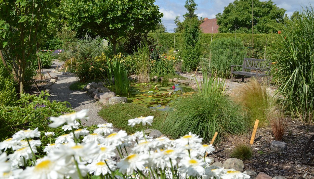 Rustige zithoek bij de tuinvijver, © Kevin Hager (Baumschule Hager) Rustige zithoek bij de tuinvijver, © Kevin Hager (Baumschule Hager)