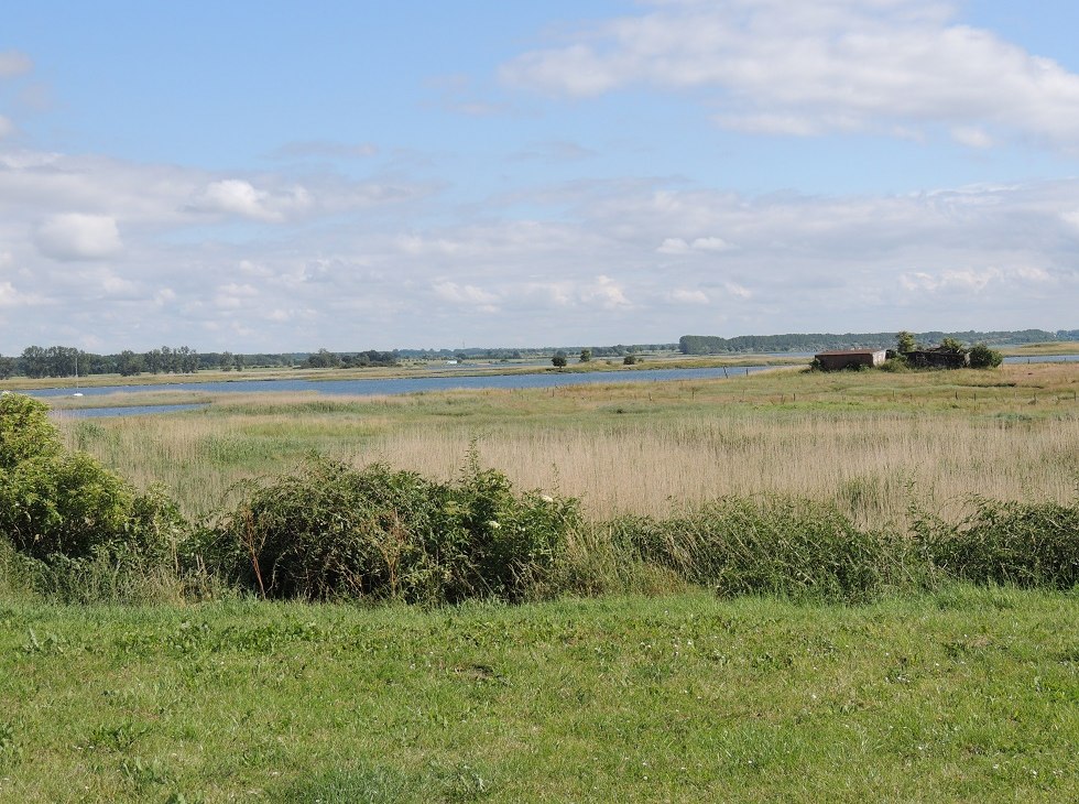 Widok na słone bagna z miejsca odpoczynku, © Kurverwaltung Insel Poel