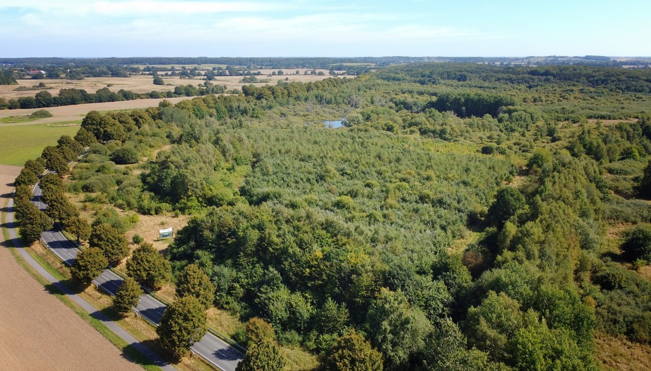 Klimatyczny leśny rezerwat biosfery Schaalsee, © Landesforst MV