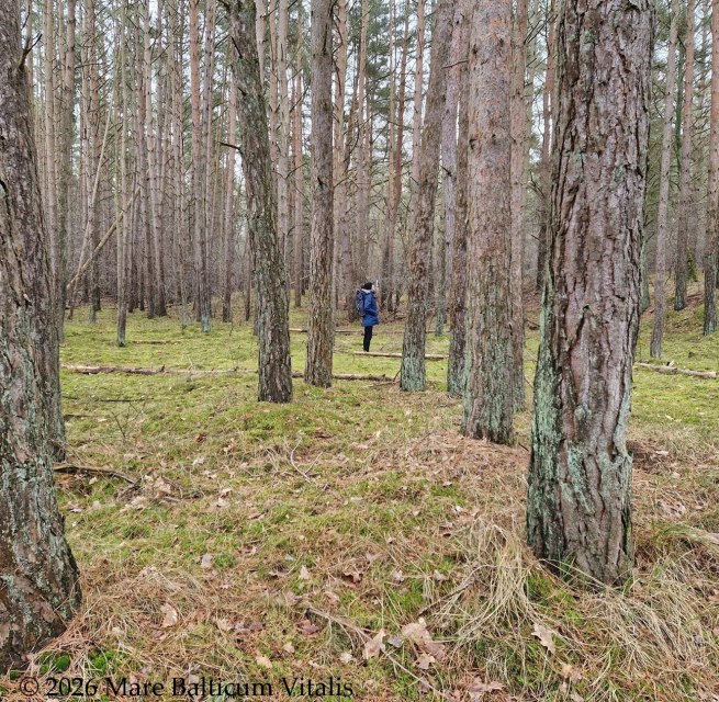 Mare Balticum Vitalis - Begeleidende vastenweek // © Mare Balticum Vitalis, Inh. Janine Hahn Mare Balticum Vitalis - Begeleidende vastenweek // © Mare Balticum Vitalis, Inh. Janine Hahn