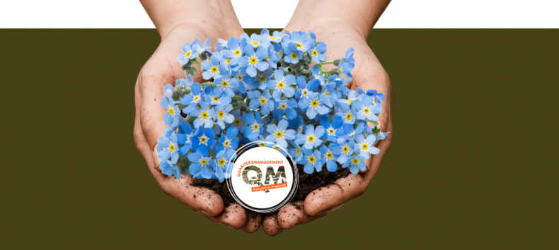 Forget-me-not // &copy; QM