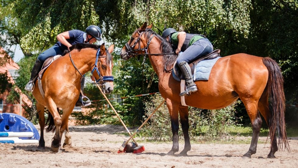 Behendigheid, gevoeligheid en balans - dat is wat je nodig hebt voor paardrijgames // © Reit- und Fahrverein Strameuß Behendigheid, gevoeligheid en balans - dat is wat je nodig hebt voor paardrijgames // © Reit- und Fahrverein Strameuß