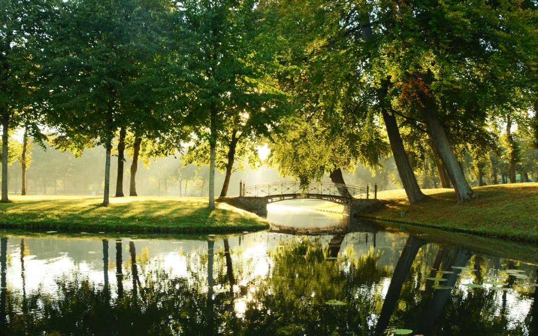 Kasteeltuin Schwerin, © Tourismusverband Mecklenburg-Schwerin