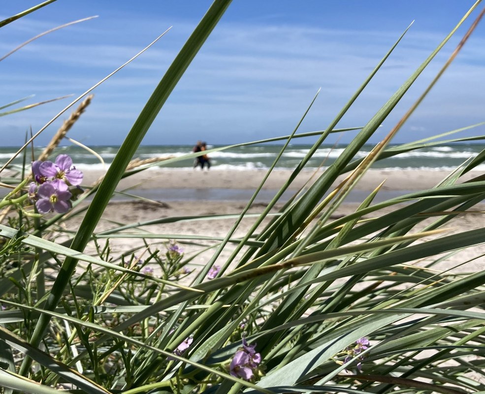 © Nationalparkamt Vorpommern © Nationalparkamt Vorpommern