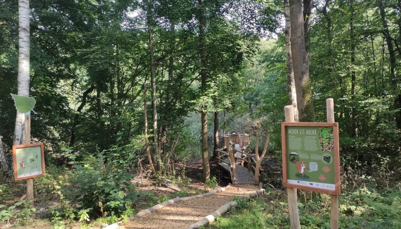 Weg ins Moor &copy; Jana Koch, &copy; Jana Koch