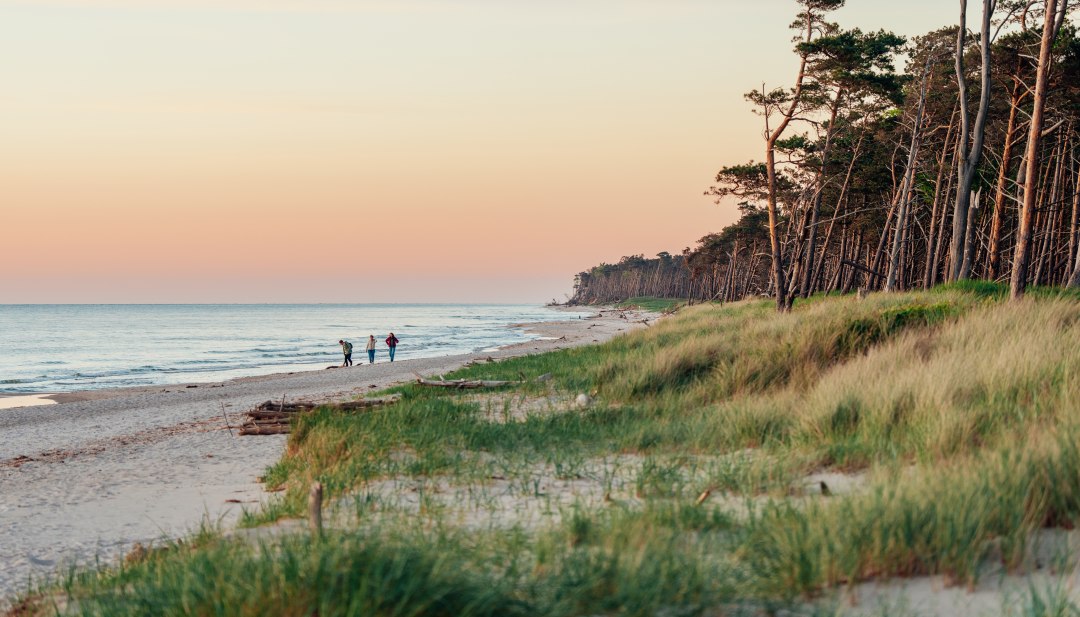 Een idyllische wandeling op het westelijke strand van de Dar&szlig;: drie mensen genieten van de zonsondergang terwijl de kust in warme kleuren oplicht en de natuur tot rust komt.