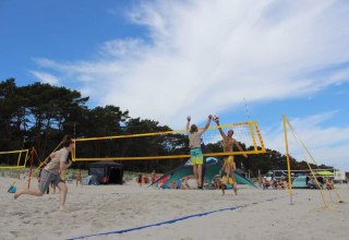 © SV Warnemünde 1949 e.V. © SV Warnemünde 1949 e.V.