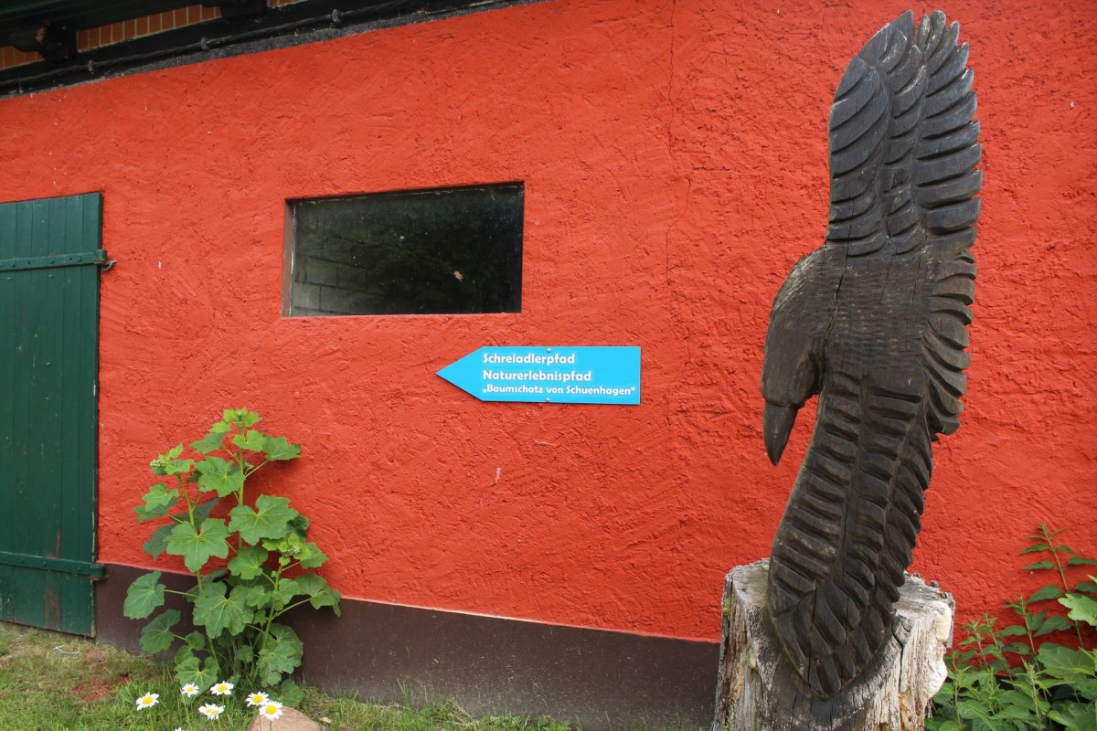 Blue arrows lead to the beginning of the nature trail behind the forestry office // &copy; Liv E. Ipsen