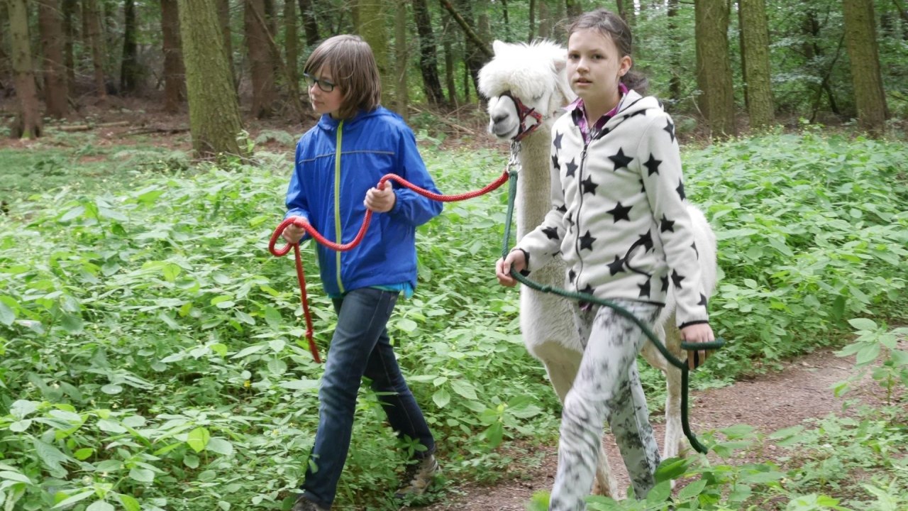 Kinderen beleven de natuur met de alpaca's. // © Lena Marie Hahn Kinderen beleven de natuur met de alpaca's. // © Lena Marie Hahn
