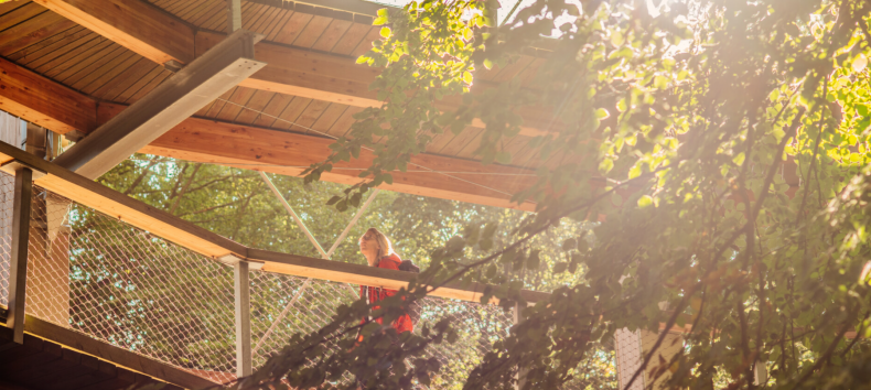 &copy; Binzer Bucht Tourismus