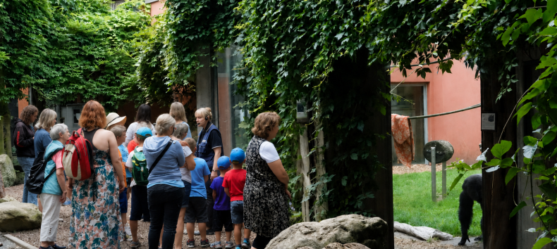 &copy; Hansestadt Stralsund