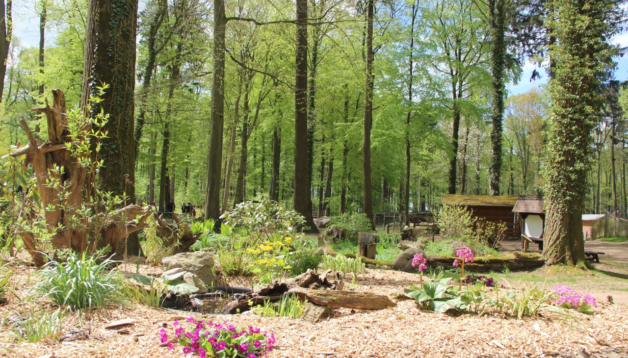 In de dierentuin van Wolgast kunnen bezoekers kennismaken met veel dieren in een idyllische natuurlijke omgeving., © Tierpark Wolgast