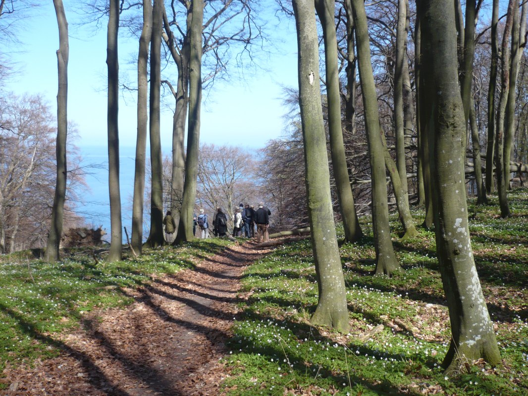 Wiosenna wędr&oacute;wka // &copy; Touristik Lohme