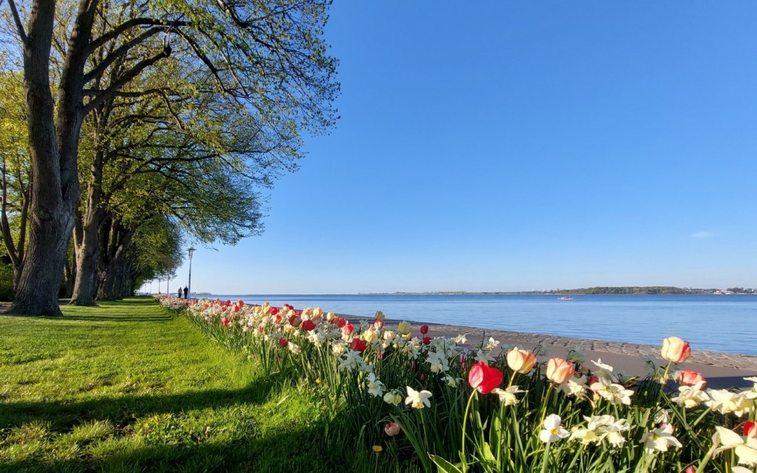Sundpromenade, © Kredl / TZ HST