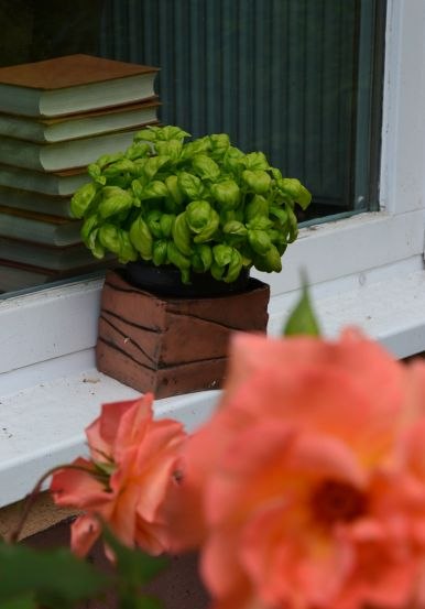 Kruidenboeken, &copy; Maxi Wei&szlig;