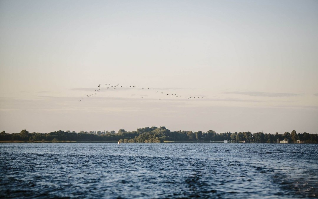 Doświadczenie natury w Schaalsee // © MV-T/Roth Doświadczenie natury w Schaalsee // © MV-T/Roth