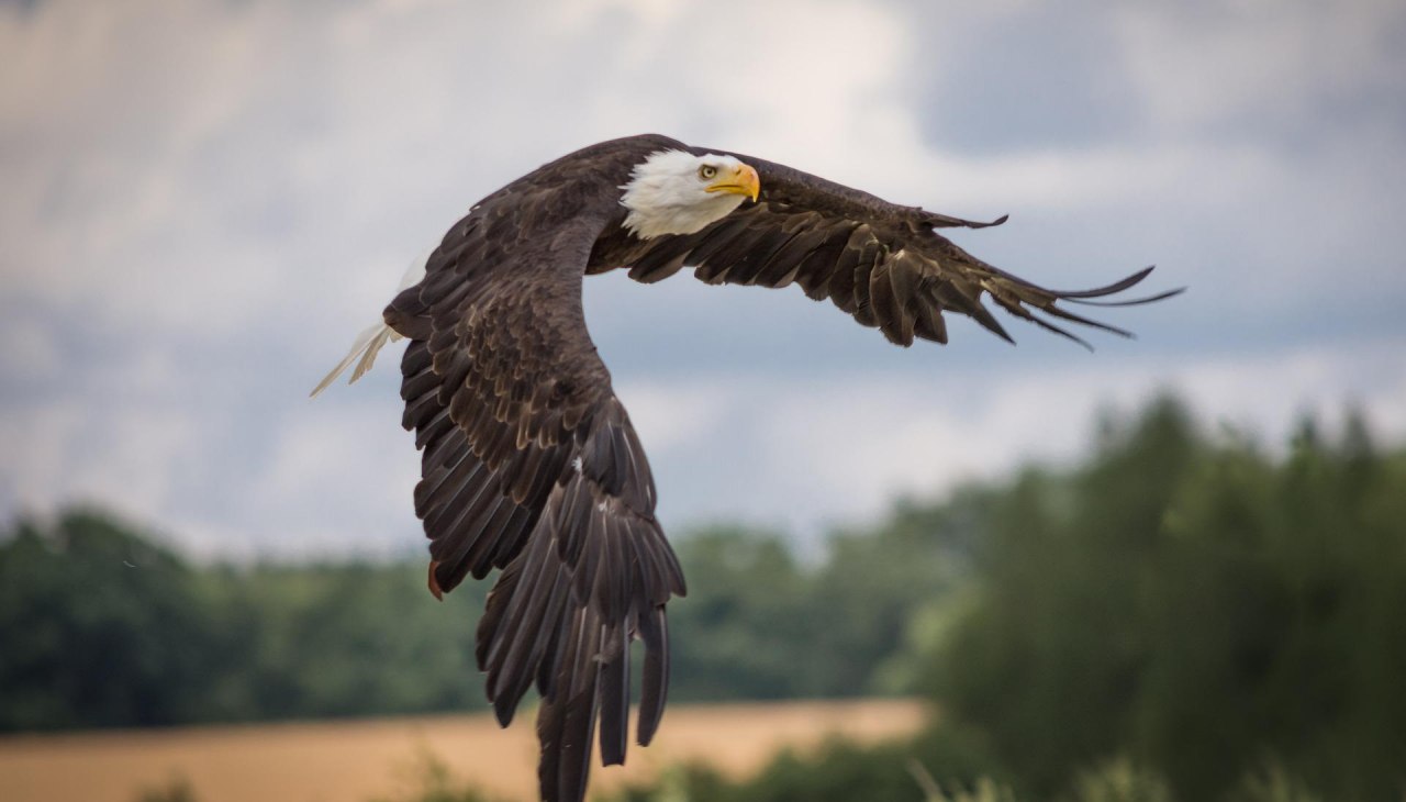 &copy; Sven Lachmann from Pixabay