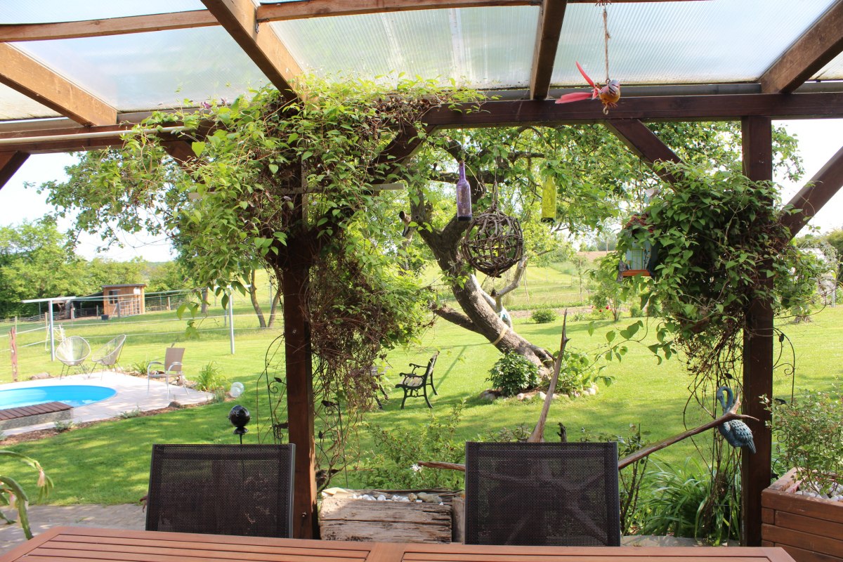 foto-3-terras, © Foto: Dobbertin foto-3-terras, © Foto: Dobbertin