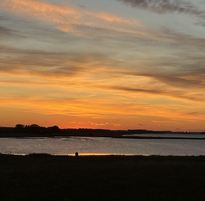 Sunrise, © Vogeltouren MV Sunrise, © Vogeltouren MV