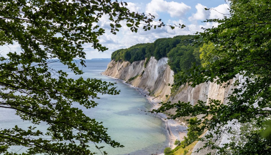 The beech forest on the chalk-white cliffs of Jasmund. The view goes along the coast with a view of the Baltic Sea