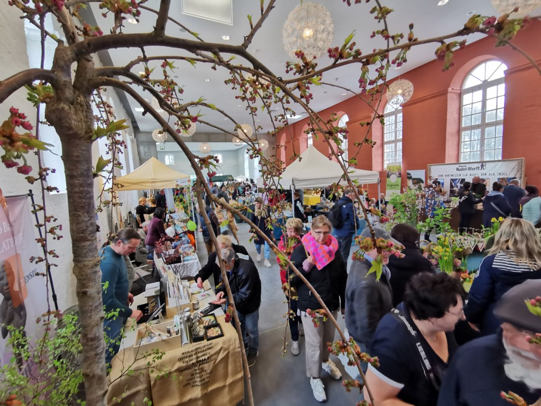 2025 Fair: Wild garlic meets regional products
The organizers R&uuml;gen Produkte Verein e. V. and the
Biosphere Reserve Office Southeast R&uuml;gen present you
together with a large number of exhibitors present the diverse
range of products from the Island of R&uuml;gen. // &copy; Biosph&auml;renreservatsamt S&uuml;dost-R&uuml;gen